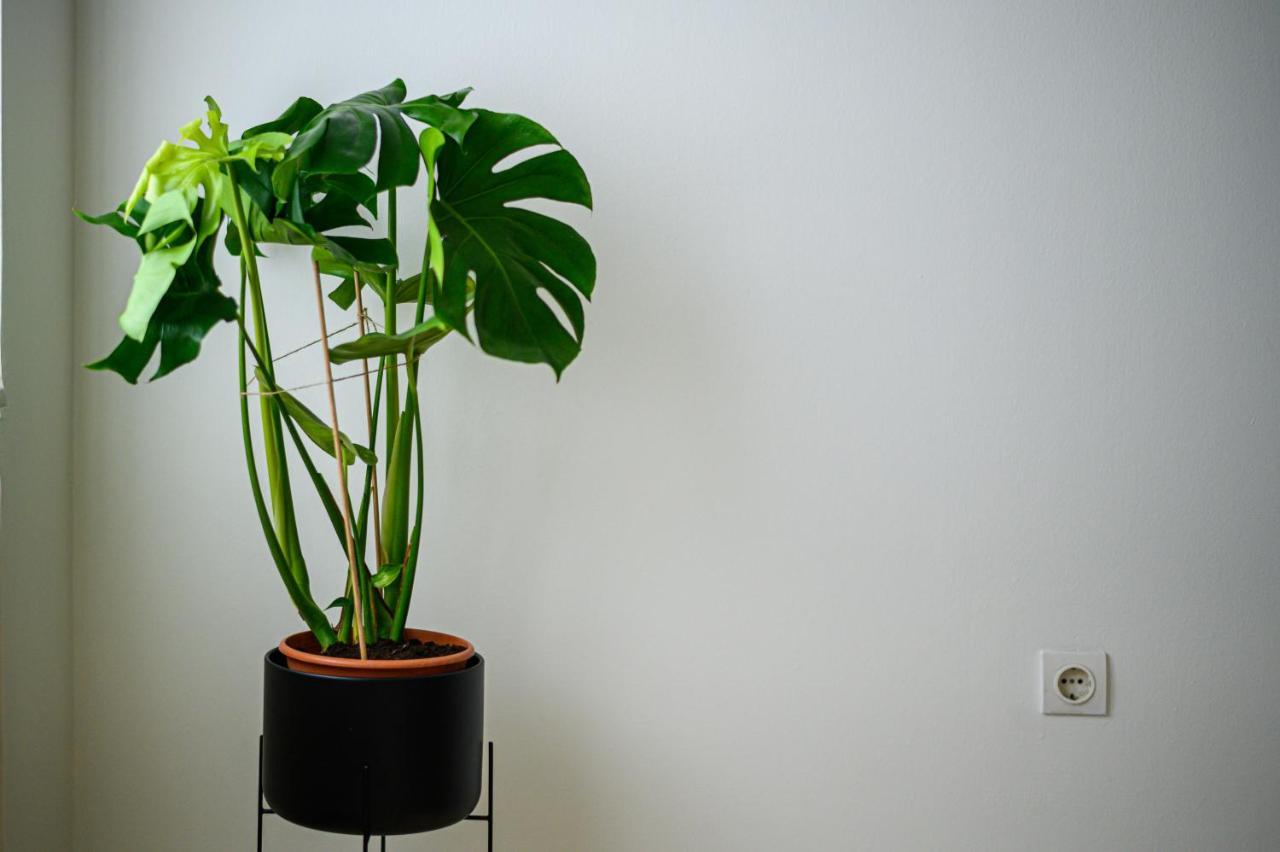 Oliva Apartment カラマタ エクステリア 写真